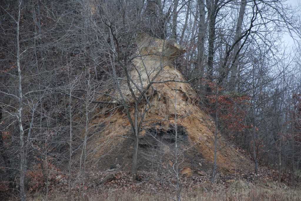 nature preserve 2