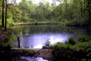 Campground-apond